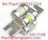 ĐẠI LÝ CUNG CẤP GEC FUSE VIỆT NAM - anh 1